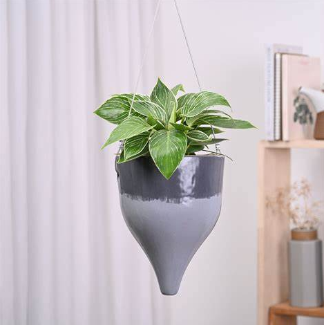 Ceramic Hanging Pot Cosmic Stone