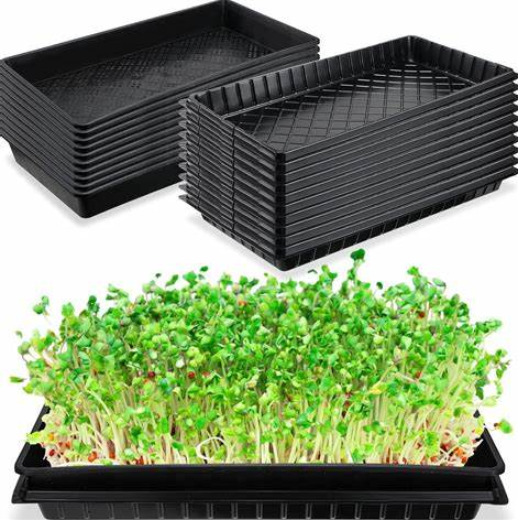 Microgreens Growing Tray