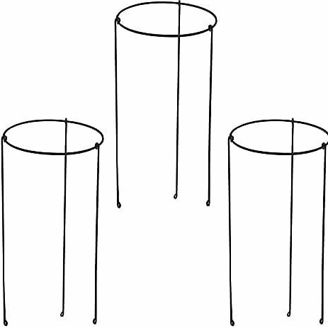 Trellis Plant Support Stands - Set of 3