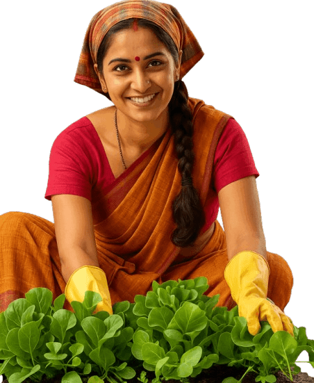 home1-623x759-removebg-preview